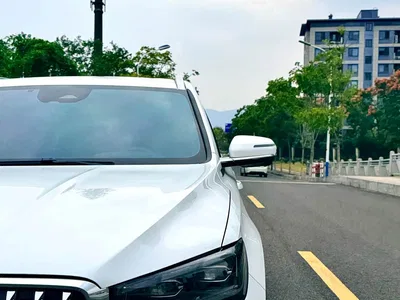 2025 Geely Xingyue L Oriental Glory 2.0TD Automatic Star Collector Edition, фото 3, лот 11448666