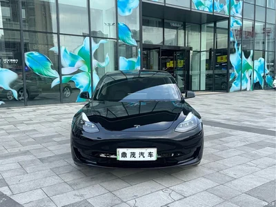 2021 Tesla Model 3 Standard Range Rear-Wheel Drive Upgrade, фото 2, лот 11211426
