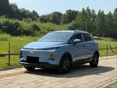 2022 Geely E Firefly 320KM Well-behaved Tiger 4-seater, фото 1, лот 11155776