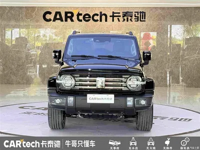 2023 Tank 300 Urban Edition 2.0T Very Stylish, фото 2, лот 10344511