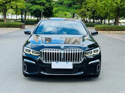 2019 BMW 7 Series 730Li M Sport Package, фото 2, лот 10442611