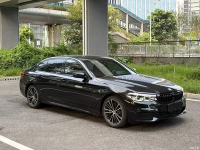 2020 BMW 5 Series 530Li Exclusive M Sport Package, фото 3, лот 10689100