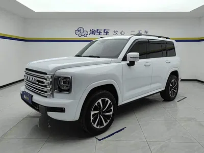 2024 Haval H9 2.0T Gasoline AWD Extreme Edition, фото 1, лот 10298862