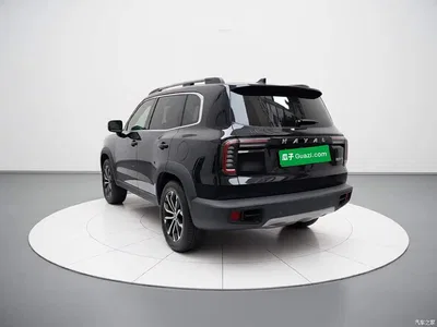 2022 Haval Big Dog 1.5T DCT FWD Border Collie Edition, фото 4, лот 11023500