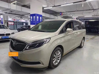 2018 Buick GL8 ES 28T Premium Type China VI, фото 1, лот 11564607