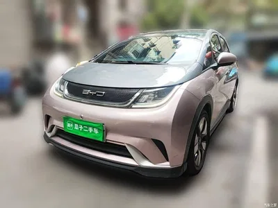 2021 BYD Dolphin 401km Knight Edition, фото 1, лот 10252838