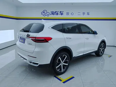2019 Haval F7 1.5T 2WD i-Trend China VI, фото 3, лот 11202658