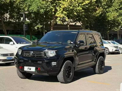 2024 Tank 700 New Energy Hi4-T Ultimate Edition, фото 1, лот 11580352