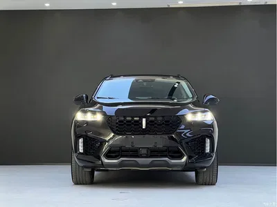 2017 WEY VV7 2.0T Flagship, фото 2, лот 10450829