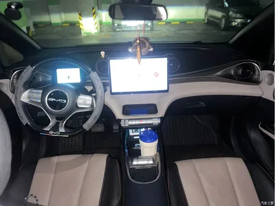 2023 BYD Dolphin 420km Fashion Edition, фото 4, лот 10256285