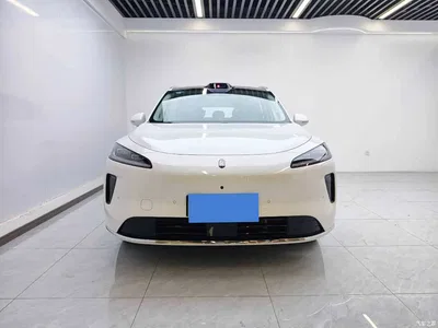 2025 Shangjie SUV Extended Range Edition, фото 3, лот 11646274