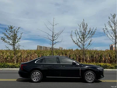 2023 Hongqi H5 1.5T HEV Smart Connect Flag Comfort, фото 4, лот 10288670