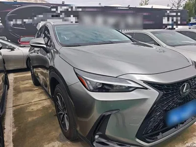 2022 Lexus NX 260 FWD Joy Creation Edition, фото 4, лот 10899065
