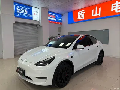 2023 Tesla Model Y Long Range All-Wheel Drive Edition, фото 1, лот 11548829
