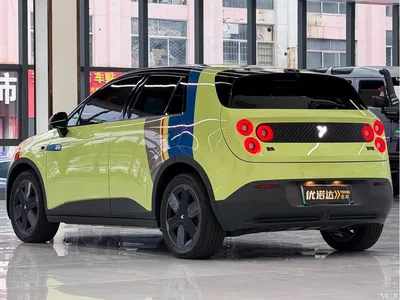 2025 Firefly Firefly Luminescent Edition, фото 4, лот 10767611