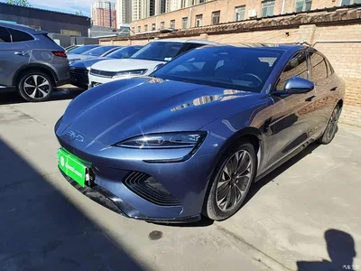 2023 BYD Seal Champion Edition 550km Elite, фото 2, лот 10269766