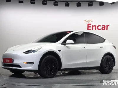 2021 Tesla Model Y Standard Range RWD, фото 1, лот 10123961