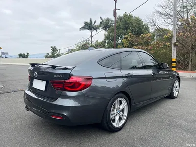 2019 BMW 3 Series GT 320i M Sport Package, фото 4, лот 10473337