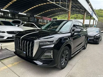 2023 Hongqi HS5 2.0T Flag Joy Pro Edition, фото 1, лот 10288434