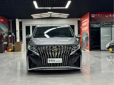 2021 GAC Trumpchi Trumpchi M8 Master Series 390T 4-Seat Premium Edition, фото 2, лот 10417854