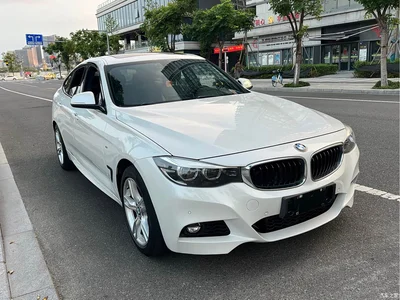 2019 BMW 3 Series GT 320i M Sport Model, фото 3, лот 11140472