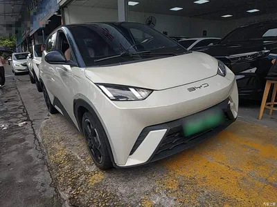 2024 BYD Seagull Glory Edition 305km Freedom Edition, фото 4, лот 10262895