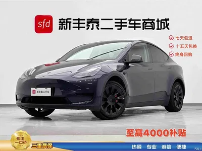 2024 Tesla Model Y Rear-Wheel Drive Version, фото 1, лот 10674635