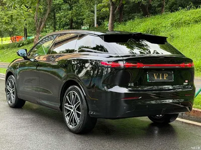 2025 Voyah Auto Voyah Zhiyin Base, фото 3, лот 11164879