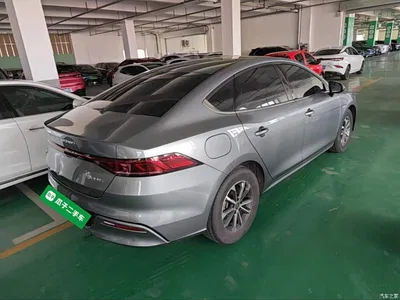 2024 BYD Qin PLUS Glory Edition DM-i 55KM Leading, фото 4, лот 10689140