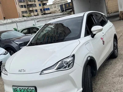 2021 Nezha Auto Nezha V Standard Range Entertainment Upgrade, фото 1, лот 11397713