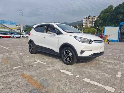 2021 BYD Yuan Pro Lifetime Love Edition, фото 2, лот 11178898