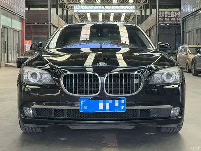 2010 BMW 7 Series 750Li, фото 1, лот 10458670