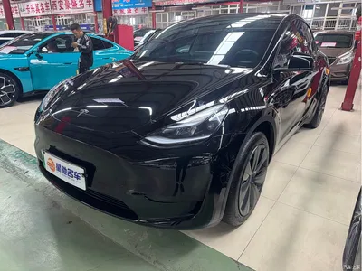2023 Tesla Model Y Rear-Wheel Drive Edition, фото 1, лот 11199237