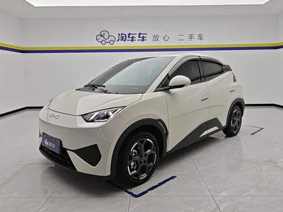 2025 BYD Seagull Smart Drive Edition 405km Free Edition, фото 1, лот 10323608