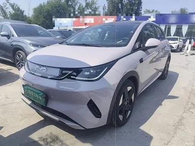 2025 BYD Dolphin Smart Drive Edition 520km Knight Version, фото 1, лот 10474467