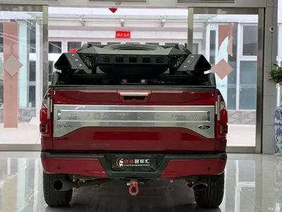 2017 Ford F-150 Raptor, фото 4, лот 10297385