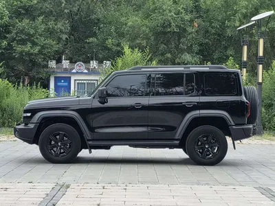2024 Tank 300 2.0T Conqueror, фото 3, лот 10344279