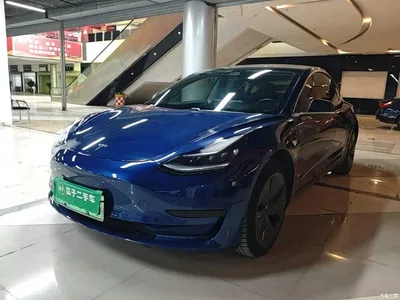 2019 Tesla Model 3 (Import) Standard Range RWD Upgraded Edition, фото 2, лот 10376197