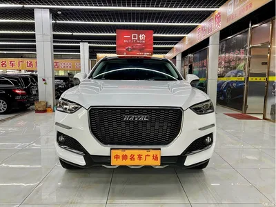 2019 Haval F5 National Trend Edition 1.5T iTrend China VI, фото 2, лот 10295933