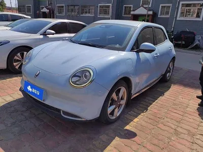 2021 Ora Good Cat 400km Standard Range Venus Edition (LFP), фото 1, лот 11396058