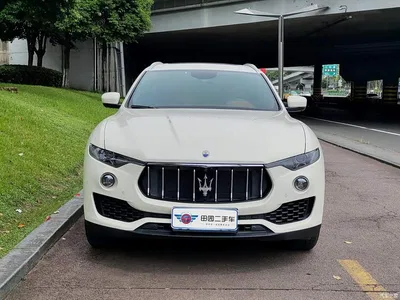 2019 Maserati Levante 3.0T Standard Edition China VI, фото 2, лот 11090072