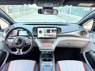 2021 BYD Dolphin 405km Freedom Edition, фото 4, лот 11586504