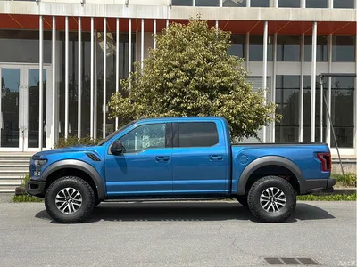 2019 Ford F-150 Raptor 3.5T Raptor Performance Enhanced Edition, фото 2, лот 10300039