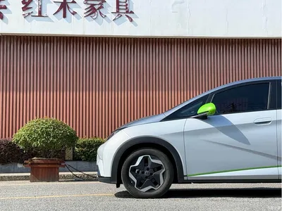 2021 BYD Dolphin 405km Freedom Edition, фото 3, лот 10254044