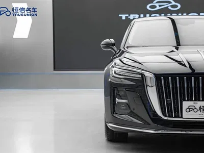 2023 Hongqi H5 1.5T DCT Smart Connect Flag Rhythm, фото 4, лот 10288851
