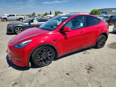 2021 TESLA MODEL Y, фото 1, лот 10854944