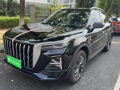 2026 Hongqi HS5 2.0T 2WD Qi Enjoyment Pro Edition, фото 2, лот 10289165