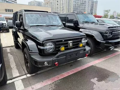 2021 Tank 300 Urban Edition 2.0T Stylish, фото 3, лот 11188299
