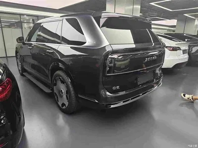 2025 ZEEKR 9X Standard Edition, фото 3, лот 11223488