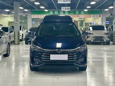 2022 BYD Song MAX New Energy DM-i 105KM Executive Edition, фото 2, лот 10407707